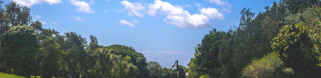 Allerton Manor cover image