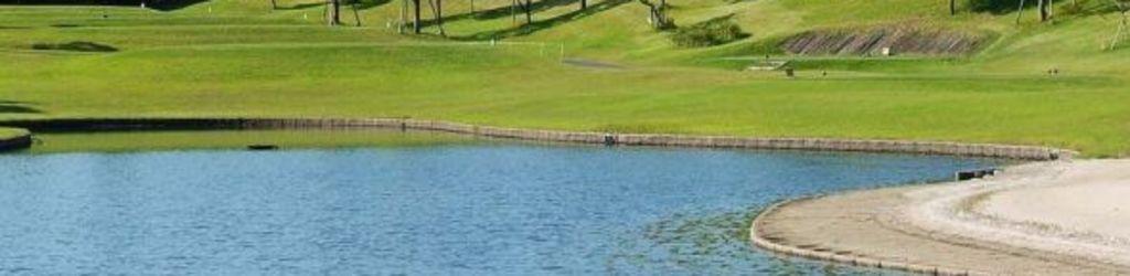 Chiba Birdie Club cover image