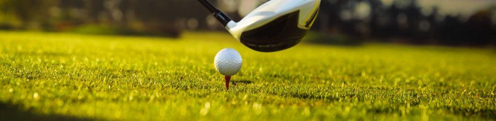 Club De Golf Las Brisas De Santo Domingo cover image