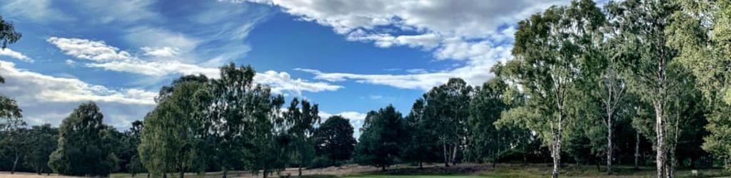 Enville Golf Club - Lodge cover image