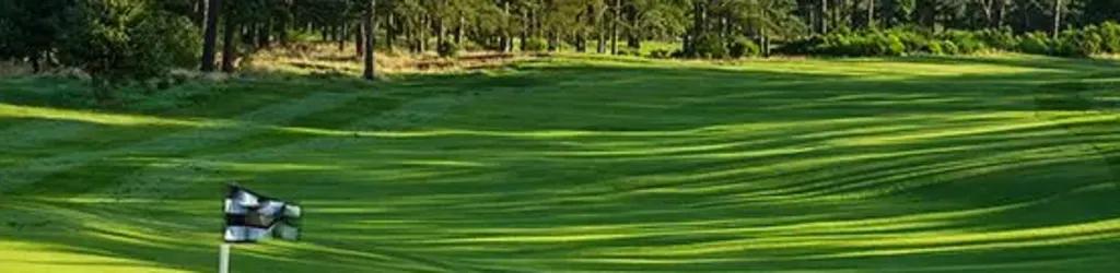 Forfar Golf Club cover image