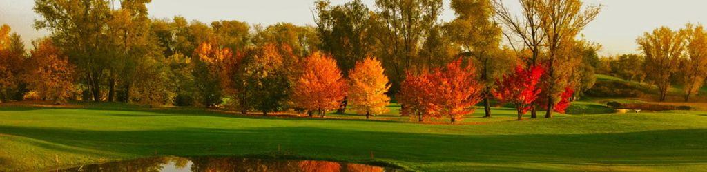 Golf Brianza Country Club cover image