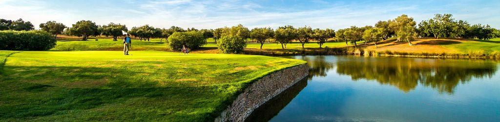 Panorámica Golf cover image