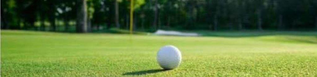 La Grande Romanie cover image