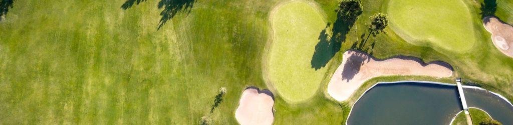 Las Araucarias cover image