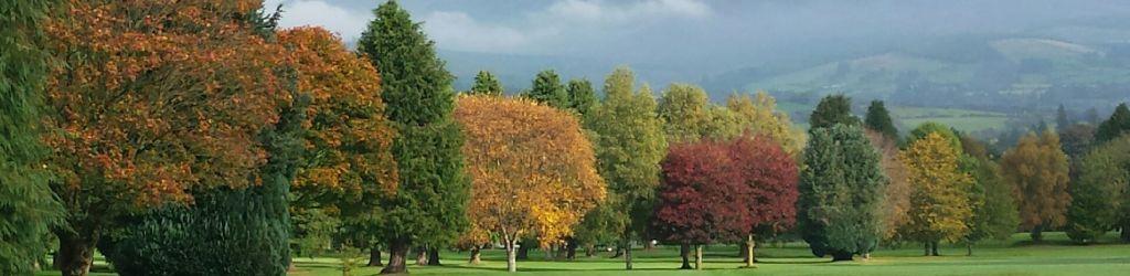 Mitchelstown Golf Club cover image