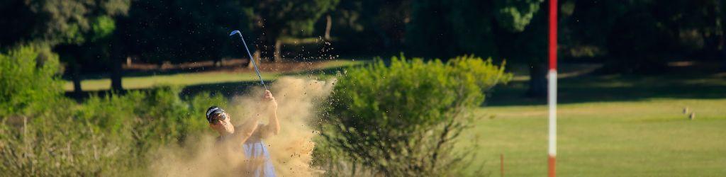 National park Brijuni cover image