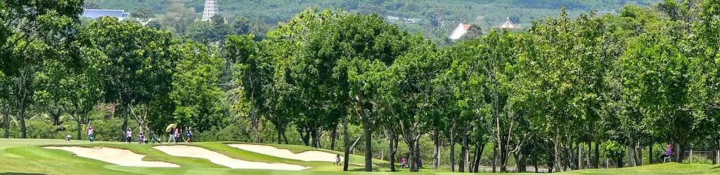 Phoenix Golf & Country Club - Mountain / Lake cover image