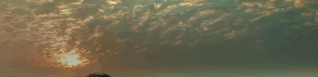 Port Elizabeth Golf Club cover image