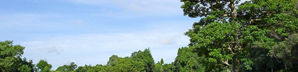 Skyway Country Club cover image