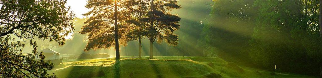 Sunningdale Heath cover image