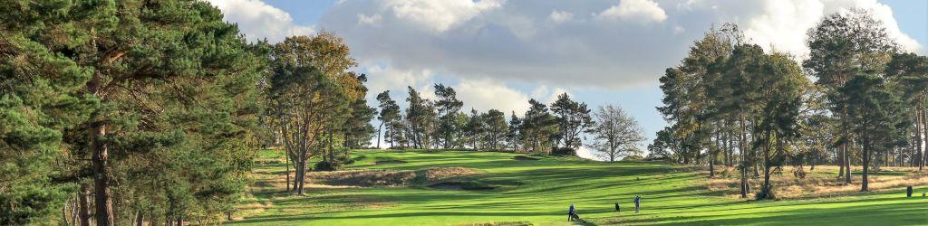The Addington Golf Club cover image