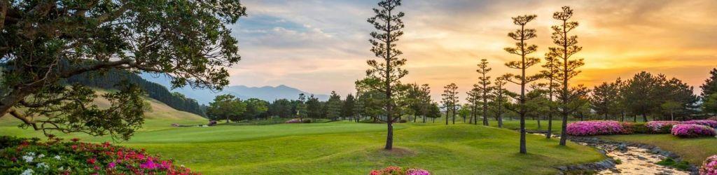 The Queen's Hill Golf Club cover image