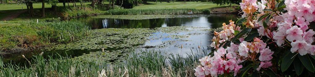 Upton by Chester Golf Club cover image