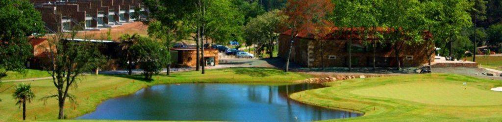 Vale Pisao cover image