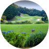 Image for Kansai Kuko Golf Club course