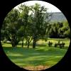 Image for Randpark Golf Club - Bushwillow Course course