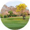 Image for The Royal Chiangmai Golf Resort course